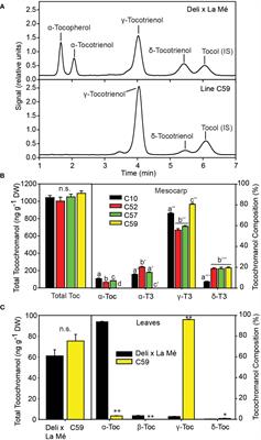 Unusual vitamin E profile in the oil of a wild African oil palm tree (Elaeis guineensis Jacq.) enhances oxidative stability of provitamin A